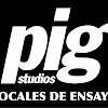 Pig Studios